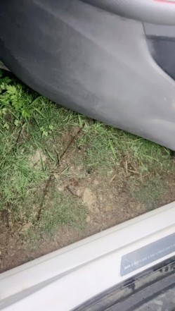 深夜户外与骚妇激情车震啪啪啪 对白精彩刺激，半推半就强上大屌插入就老实了 截图1