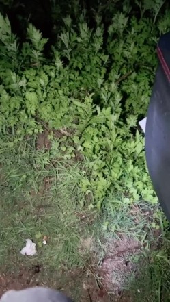 深夜户外与骚妇激情车震啪啪啪 对白精彩刺激，半推半就强上大屌插入就老实了 截图7