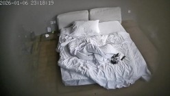 酒店偷拍 舔逼狂魔小胖各种姿势给女友下体舔干净后才插入 截图2