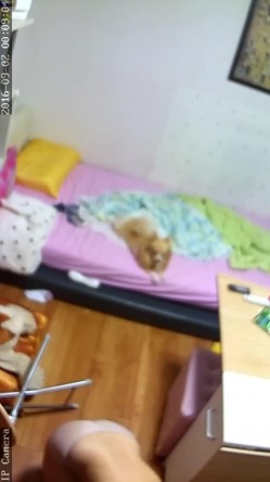 【破解摄像头】韩G居家摄像头破解 良家女人们在没有防备状态下各种喷血画面合集 截图3