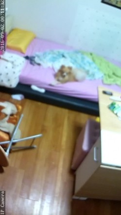 【破解摄像头】韩G居家摄像头破解 良家女人们在没有防备状态下各种喷血画面合集 截图5