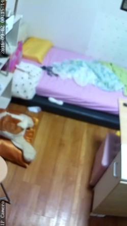 【破解摄像头】韩G居家摄像头破解 良家女人们在没有防备状态下各种喷血画面合集 截图8