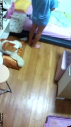 【破解摄像头】韩G居家摄像头破解 良家女人们在没有防备状态下各种喷血画面合集 截图13