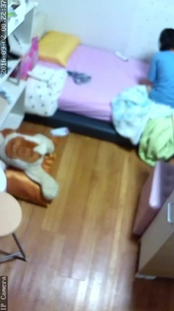 【破解摄像头】韩G居家摄像头破解 良家女人们在没有防备状态下各种喷血画面合集 截图14
