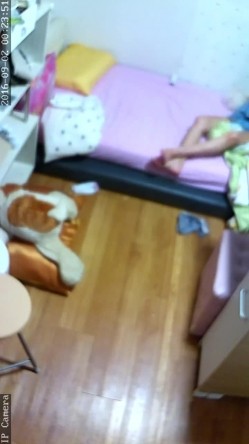 【破解摄像头】韩G居家摄像头破解 良家女人们在没有防备状态下各种喷血画面合集 截图15