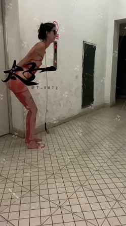【重磅核弹】超高颜值车模女神【太子妃】SM调教露出啪啪 截图5