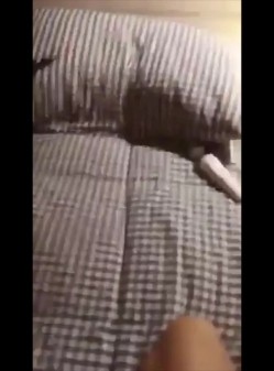 约了个30出头如狼似虎的少妇 真实操逼没够的极品骚货 截图8