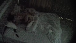 酒店偷拍高校眼镜婊班花被小伙追到手周末带出来操穴 干了几次 截图11