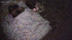 酒店偷拍 连续两天入住情侣气质甜美又身材不错的美女喜欢上位榨取男友精液 截图10