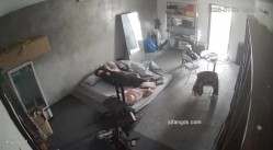 黑客破解家庭网络摄像头偷拍住毛坯房的年轻情侣疯狂做爱有时一天做爱几次 截图3