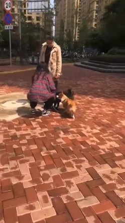【苹果云端泄密】流出 ️记录小情侣2年的爱情故事 女主有点难哄打架被要求男友赔偿2万元 分3个月还清 截图4