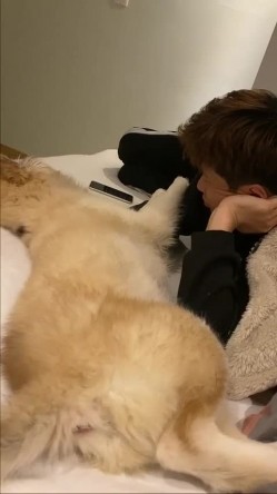 【苹果云端泄密】流出 ️记录小情侣2年的爱情故事 女主有点难哄打架被要求男友赔偿2万元 分3个月还清 截图8