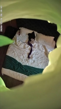 情趣酒店独家私享台偷拍变态男穿女装丝袜操逼这样会更爽 截图15