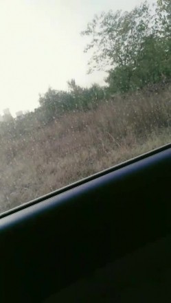 颜值不错骚气妹子野外车震第二部 开裆肉丝口交舔JJ拨开内裤抽插呻吟娇喘 截图4