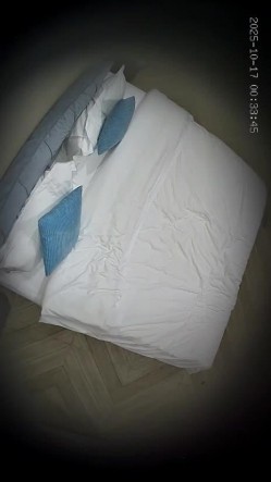 酒店偷拍 年轻情侣开房小哥开干前先给漂亮女友拍个淫照口爆后入不能少 截图9