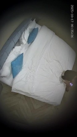 酒店偷拍 年轻情侣开房小哥开干前先给漂亮女友拍个淫照口爆后入不能少 截图10