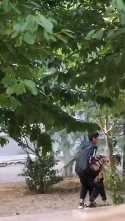最新门事件刚放假某省财经大学宿舍没装空调情侣跑到院子里的树荫下啪啪几个同学躲在宿舍里偷窥调侃 截图1