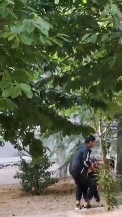 最新门事件刚放假某省财经大学宿舍没装空调情侣跑到院子里的树荫下啪啪几个同学躲在宿舍里偷窥调侃 截图4