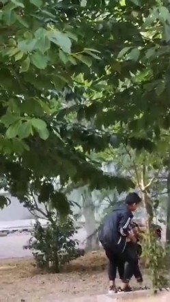 最新门事件刚放假某省财经大学宿舍没装空调情侣跑到院子里的树荫下啪啪几个同学躲在宿舍里偷窥调侃 截图5