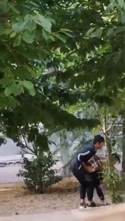 最新门事件刚放假某省财经大学宿舍没装空调情侣跑到院子里的树荫下啪啪几个同学躲在宿舍里偷窥调侃 截图6