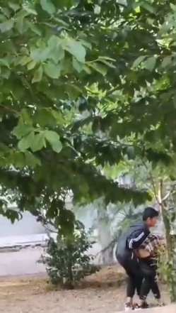 最新门事件刚放假某省财经大学宿舍没装空调情侣跑到院子里的树荫下啪啪几个同学躲在宿舍里偷窥调侃 截图7