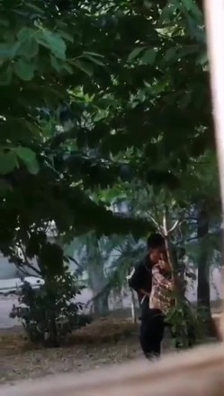 最新门事件刚放假某省财经大学宿舍没装空调情侣跑到院子里的树荫下啪啪几个同学躲在宿舍里偷窥调侃 截图10