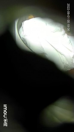 最新流出乐橙酒店摄像头偷拍多对情侣开房精选 截图1