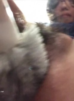 《稀缺资源猎奇极品调教》不喜勿下，绝对折磨！变态妹子一系列反人类式虐阴~胶水封、逼拔罐、马桶刷插、针线缝等等真开眼界 截图6