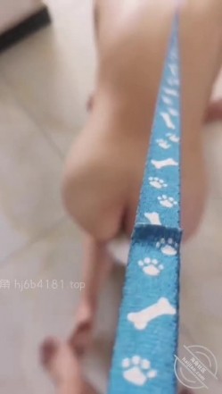【长腿白虎小优】往嫂子屁眼插尾巴脖子栓狗链拿小皮鞭抽屁股让她满屋爬 截图3