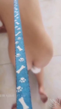 【长腿白虎小优】往嫂子屁眼插尾巴脖子栓狗链拿小皮鞭抽屁股让她满屋爬 截图14