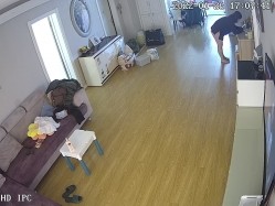 新流出黑客破解【家庭摄像头】新婚小夫妻 上来就是扒内裤一顿操 截图1