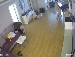 新流出黑客破解【家庭摄像头】新婚小夫妻 上来就是扒内裤一顿操 截图2