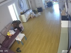 新流出黑客破解【家庭摄像头】新婚小夫妻 上来就是扒内裤一顿操 截图4