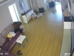 新流出黑客破解【家庭摄像头】新婚小夫妻 上来就是扒内裤一顿操 截图6