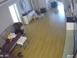 新流出黑客破解【家庭摄像头】新婚小夫妻 上来就是扒内裤一顿操 截图11