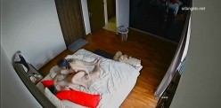 《黑客破解》有钱大佬和包养的漂亮小三各种姿势啪啪啪 截图7