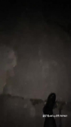 颜值不错骚女夜晚腿上绑大黑牛户外自慰，开裆丝袜撩起衣服插入震动非常诱人， 截图2