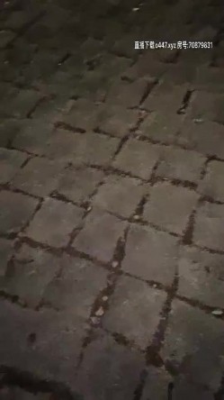 颜值不错骚女夜晚腿上绑大黑牛户外自慰，开裆丝袜撩起衣服插入震动非常诱人， 截图10