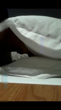 大奶乖巧纯情小美女给人很清新的感觉特别矜持不想被干渣男像强奸一样按倒把屌插入阴道啪啪开始抽送就很配合了 截图8