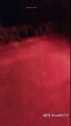 跑车福利の极品网红模特李梓熙粉丝福利21部大秀25小时打包合集 截图14