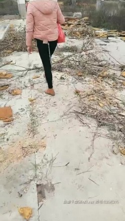 小骚逼户外勾引在工地上干活的大哥，跑到废弃的房子里就口起来，激情后入爆草抽插皮肤白皙逼逼性感，射了好多 截图14