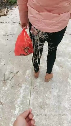 小骚逼户外勾引在工地上干活的大哥，跑到废弃的房子里就口起来，激情后入爆草抽插皮肤白皙逼逼性感，射了好多 截图15