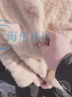 原创海角大神【妹妹的第一次给了我】付费钻石贴！公共场合搞，野战，各种肏妹妹 截图5