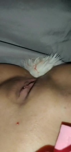 双马尾萌妹子跪着玩弄第三部 屁股上写字肛塞插菊花跳蛋震动来姨妈了 截图15