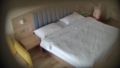 安防酒店偷拍气质韵味少妇与光头佬酒店私会偷情笑靥如花狠狠榨取他 截图3