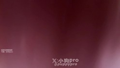推特淫荡白虎反差福利姬「小狗pro」《乳房穿刺做爱》穿刺做爱，血都流出来了+穿刺乳房（双方自愿玩的小游戏 截图14