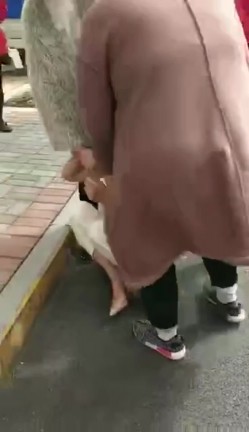 【门事件】 漂亮的服装店长当小三 ️被原配带人剪头发，并且扒光衣服游街！ 截图13