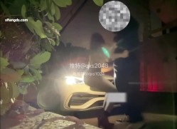 【超重磅】约啪大神【Q先森】，良家人妻，学生妹猎物多多，完美露脸，非常给力，多P，3P调教 截图1