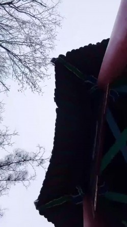 名媛极品黑丝御姐【小夭儿】商场户外~丝袜高跟~跳蛋狂震喷水 截图9