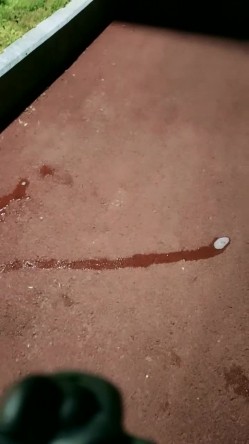 【户外】【茜茜小母狗】合集，户外露出刺激，高速公路，公交车站，男厕所~玩的就是心跳 截图10